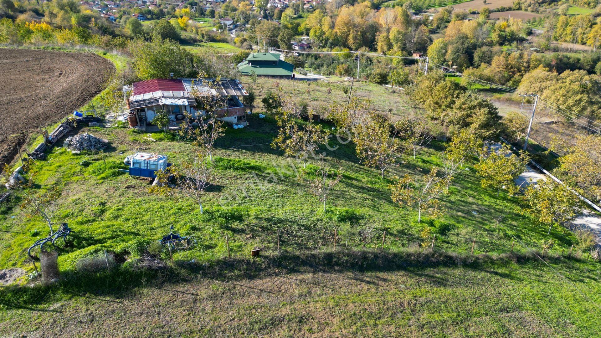 Kocaeli Karamürsel Avcıköy 1.325 M² %5 İmarlı Satılık Meyve Bahçesi - Görsel 5