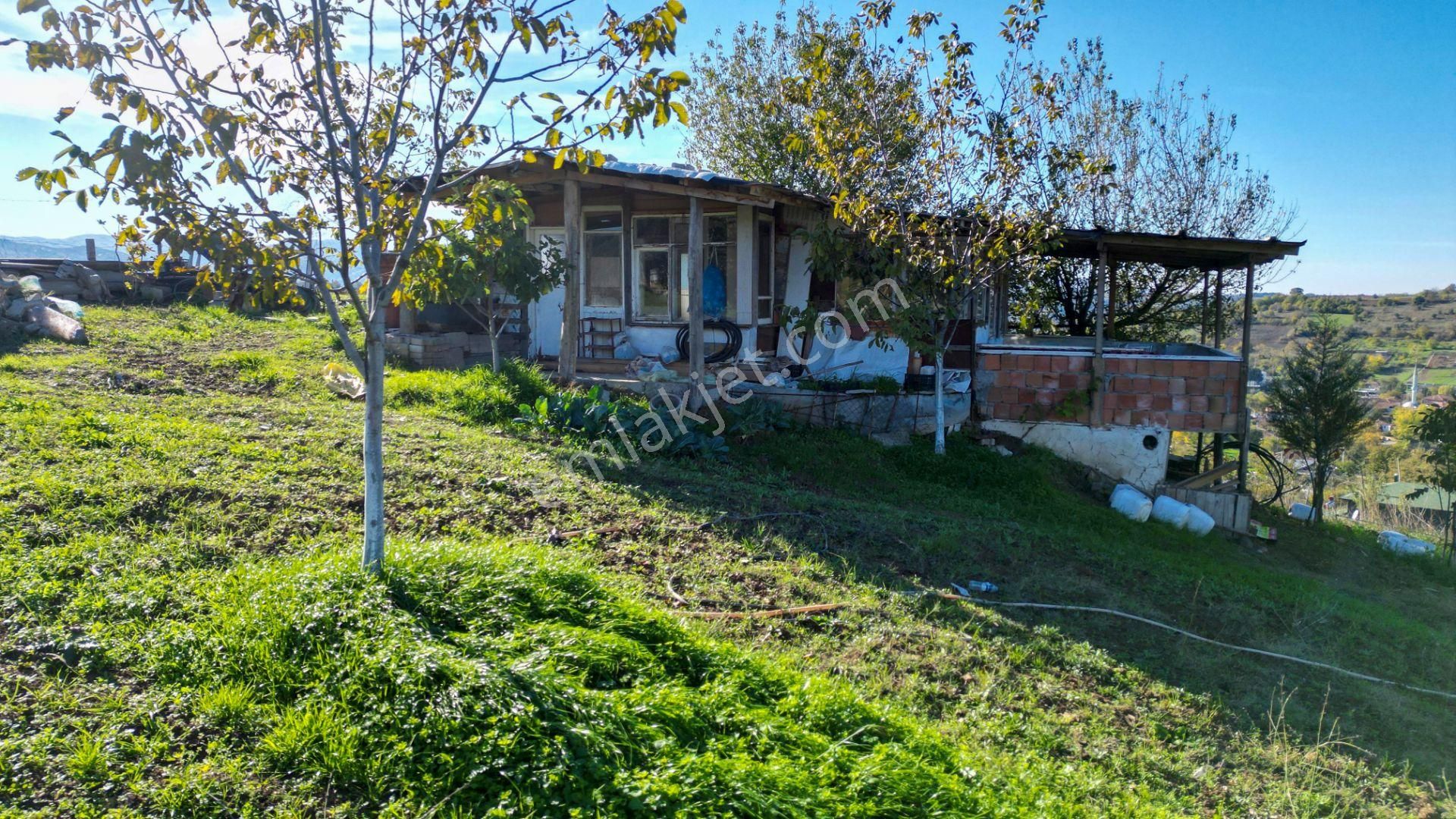 Kocaeli Karamürsel Avcıköy 1.325 M² %5 İmarlı Satılık Meyve Bahçesi - Görsel 10