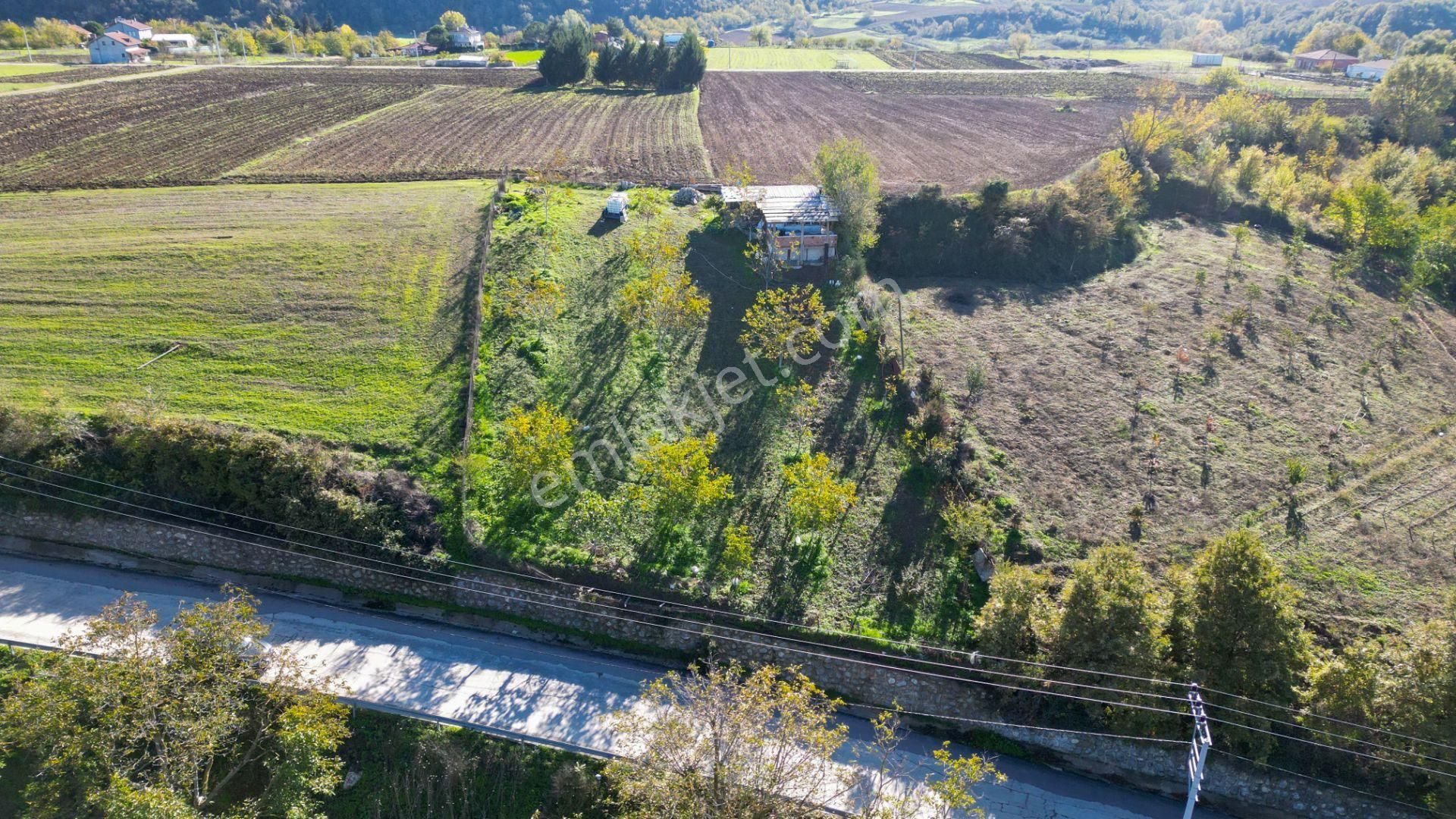 Kocaeli Karamürsel Avcıköy 1.325 M² %5 İmarlı Satılık Meyve Bahçesi - Görsel 4