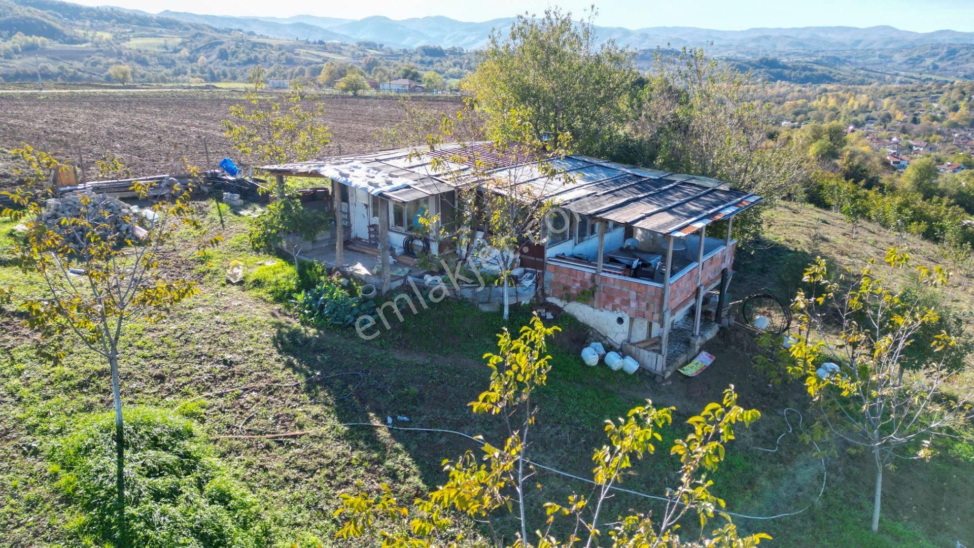 Kocaeli Karamürsel Avcıköy 1.325 M² %5 İmarlı Satılık Meyve Bahçesi - Görsel 6