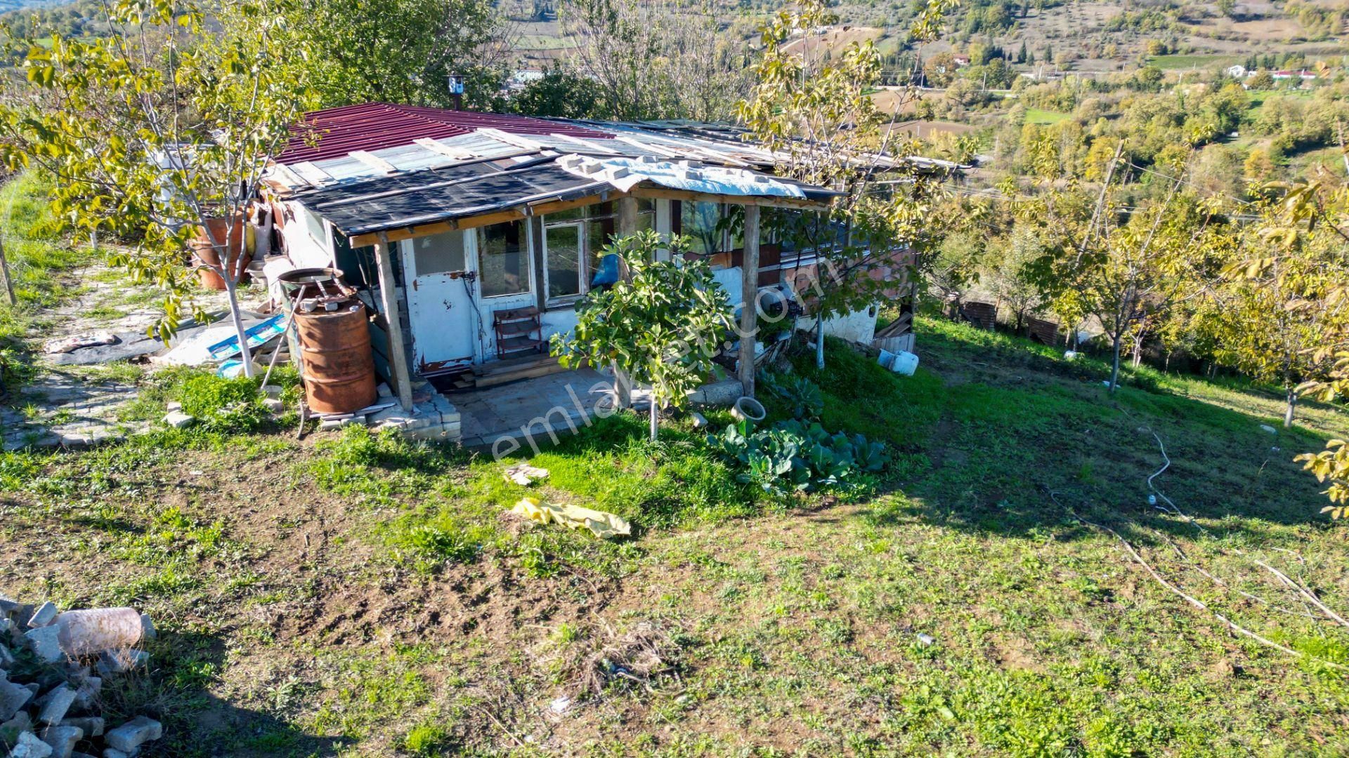 Kocaeli Karamürsel Avcıköy 1.325 M² %5 İmarlı Satılık Meyve Bahçesi - Görsel 8