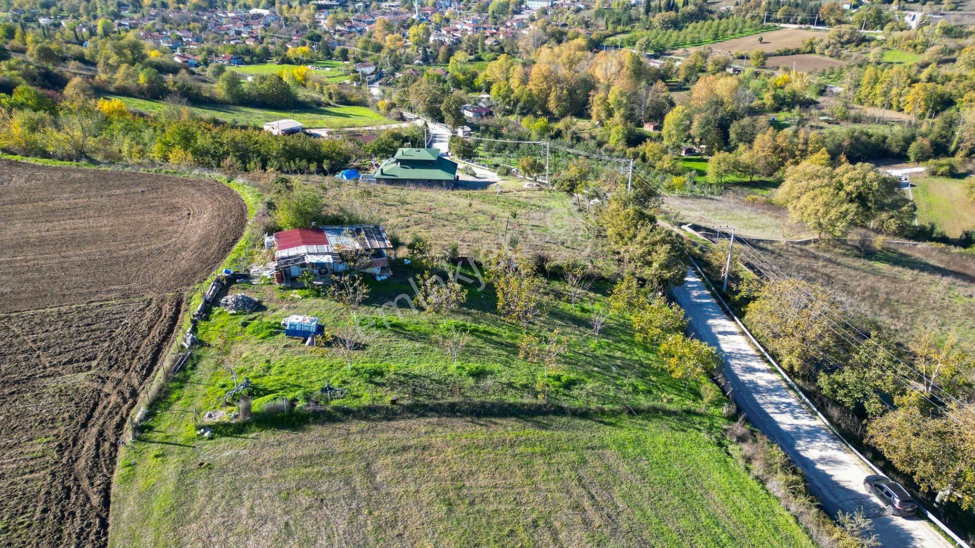 Kocaeli Karamürsel Avcıköy 1.325 M² %5 İmarlı Satılık Meyve Bahçesi - Görsel 3