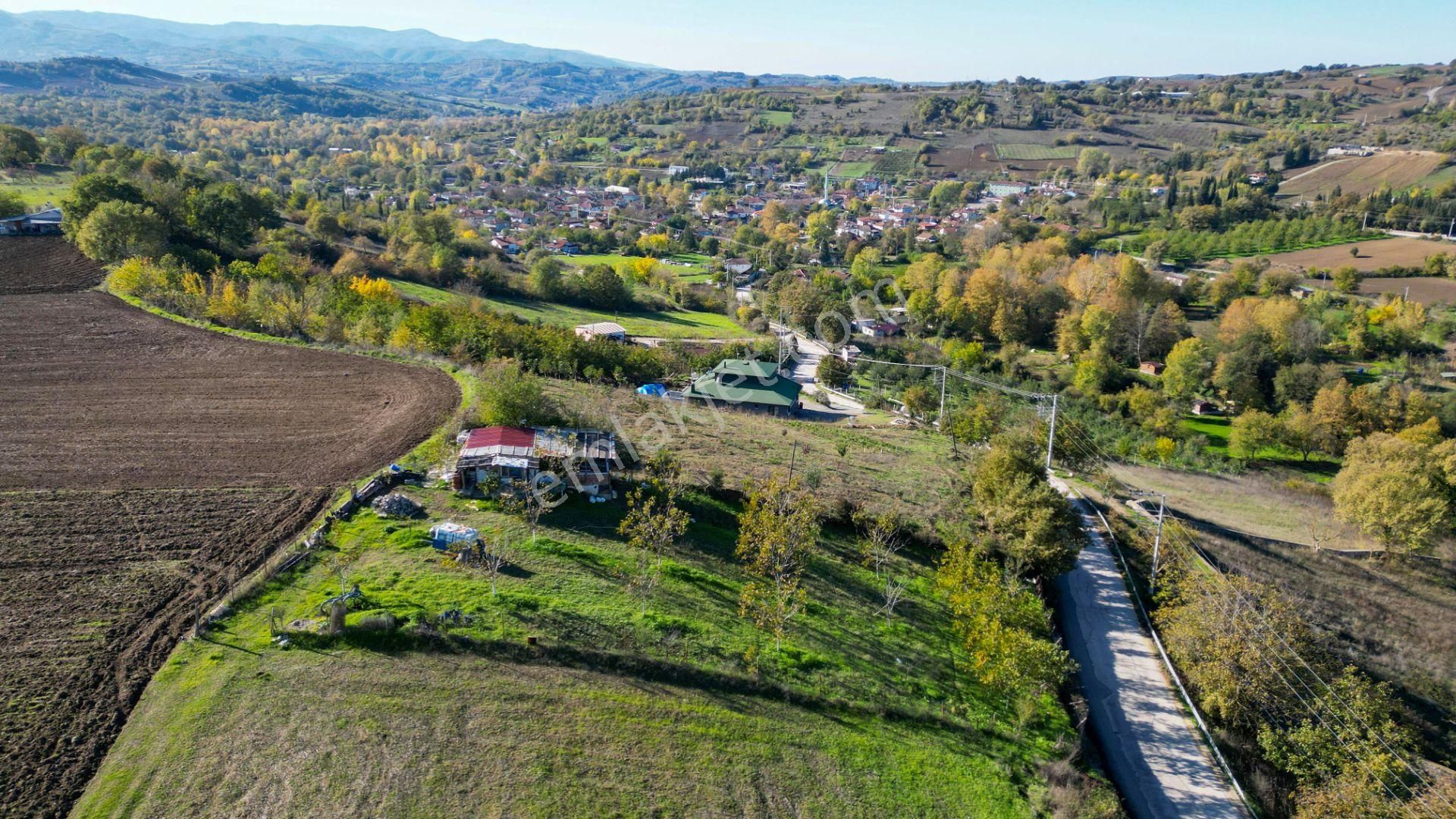 Kocaeli Karamürsel Avcıköy 1.325 M² %5 İmarlı Satılık Meyve Bahçesi - Görsel 15