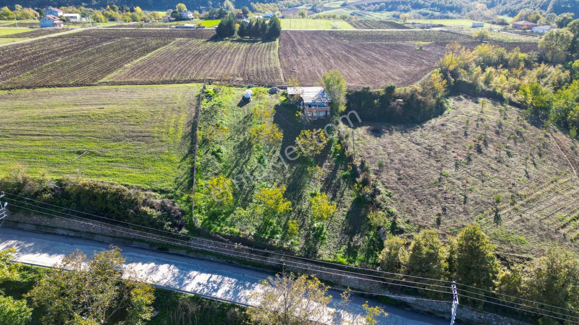 Kocaeli Karamürsel Avcıköy 1.325 M² %5 İmarlı Satılık Meyve Bahçesi - Görsel 2