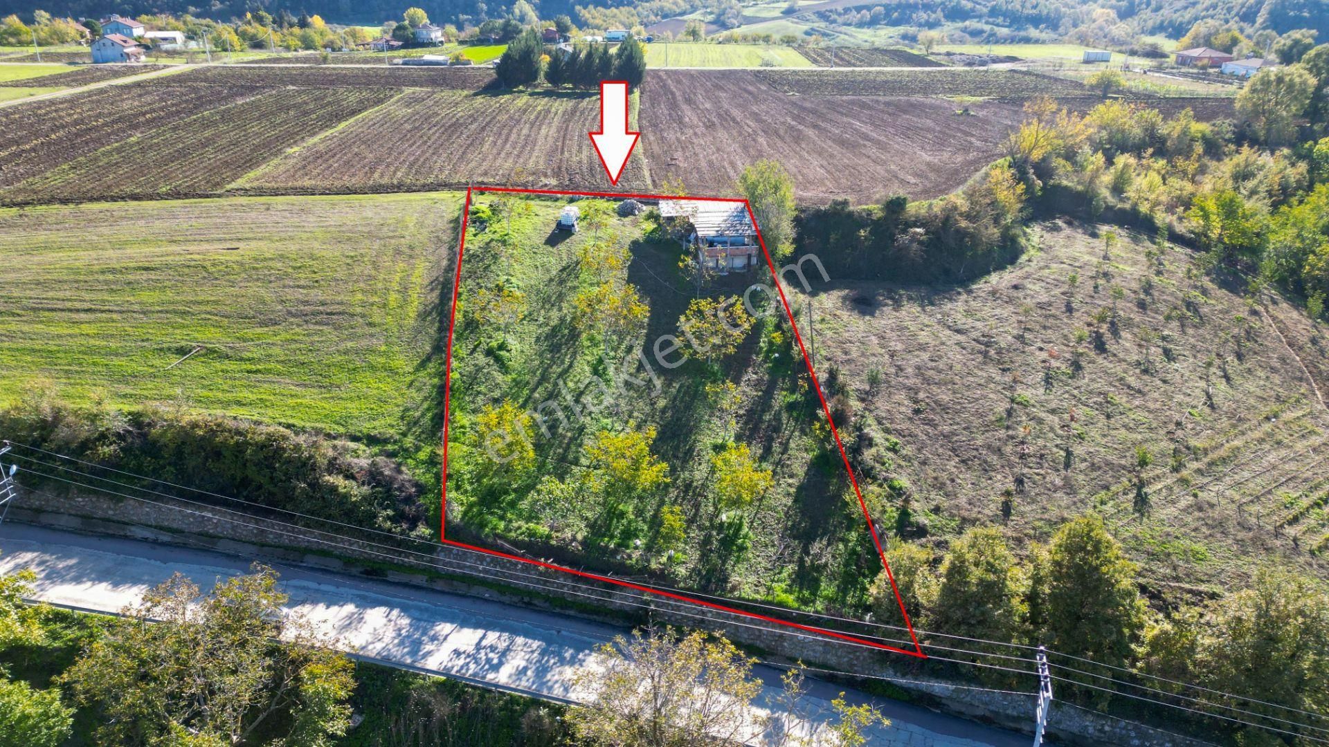 Kocaeli Karamürsel Avcıköy 1.325 M² %5 İmarlı Satılık Meyve Bahçesi