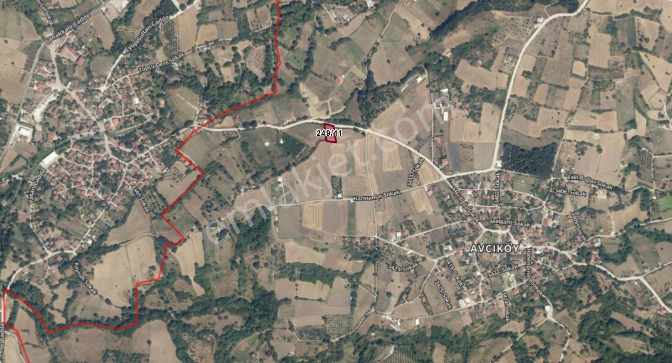 Kocaeli Karamürsel Avcıköy 1.325 M² %5 İmarlı Satılık Meyve Bahçesi - Görsel 18