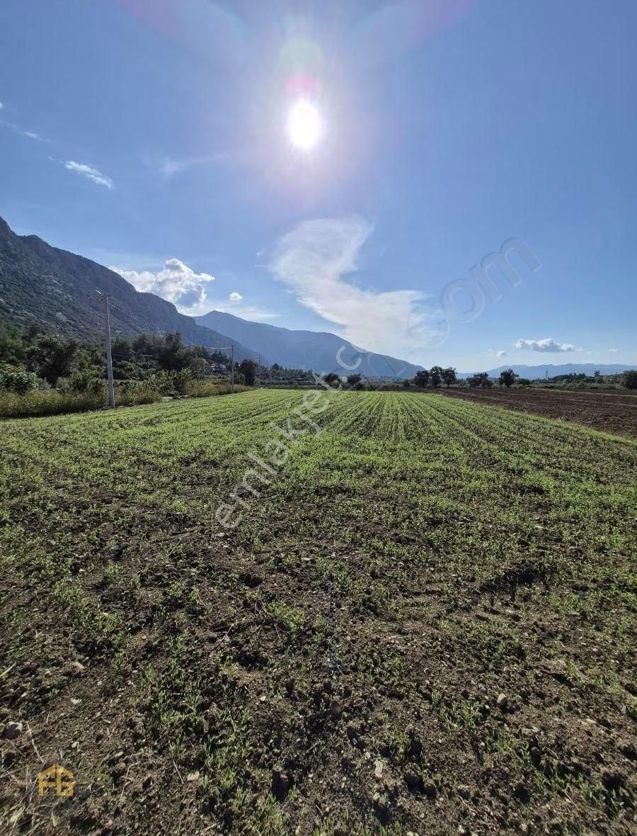 Kayadibi Mahallesi Satılık Müstakil Tapulu 2462mt2 Tarla - Görsel 2