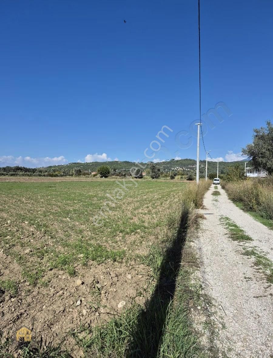 Kayadibi Mahallesi Satılık Müstakil Tapulu 2462mt2 Tarla