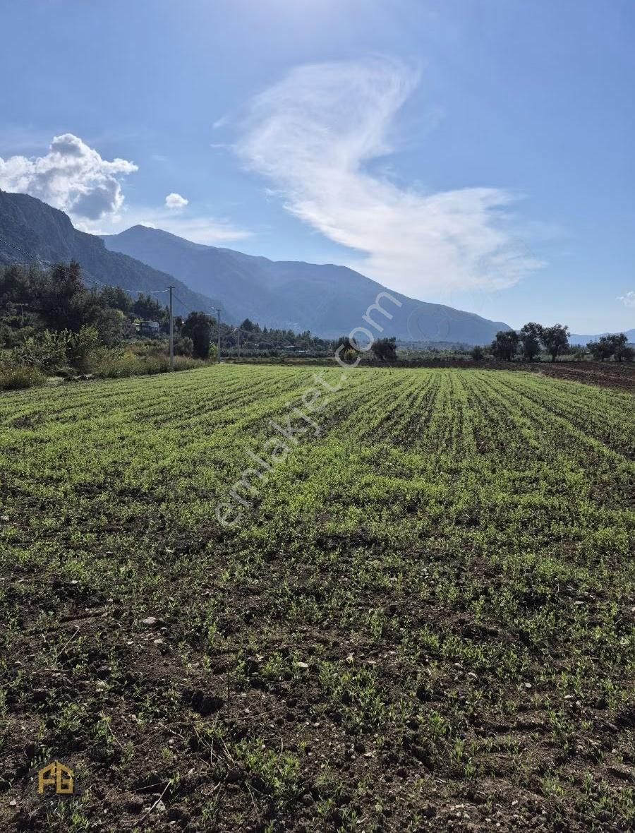 Kayadibi Mahallesi Satılık Müstakil Tapulu 2462mt2 Tarla - Görsel 3