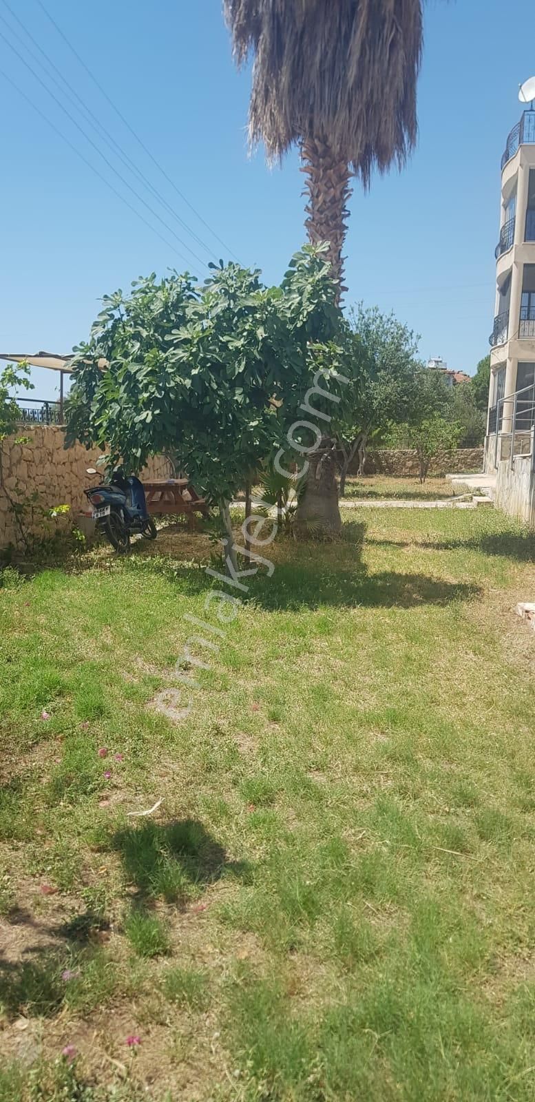 Aydın Akbük'te Satılık Havuzlu Site İçerisinde Full Deniz Manzaralı Terasa Sahip 4+1 Eşyalı Daire - Görsel 2