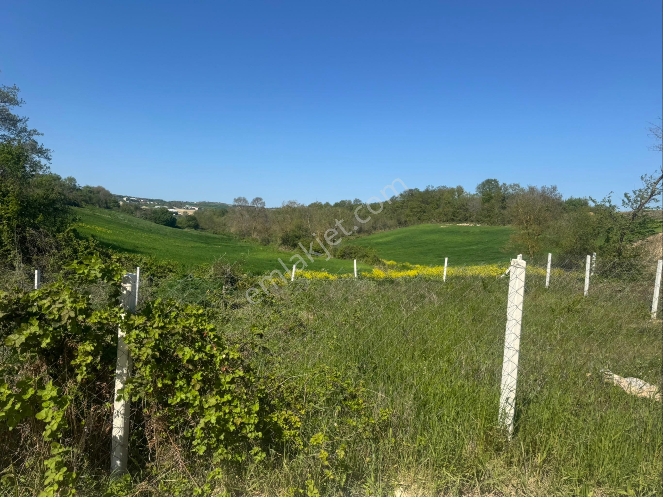 Çatalca Dağyenicede Satılık 918 M2 Yatırımlık Tarla - Görsel 2