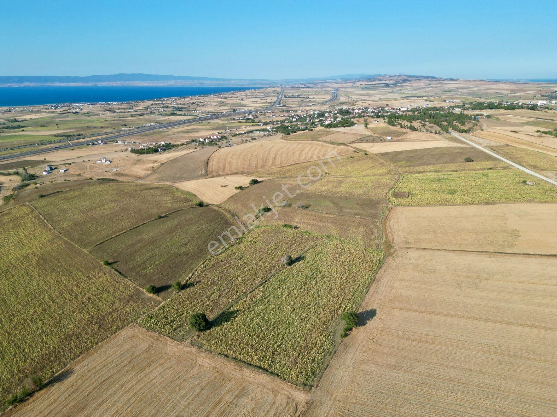 Gelibolu Bolayır 9245 M2 Satılık Tarla Uygun Fiyat Ve Yatırımlık - Görsel 5