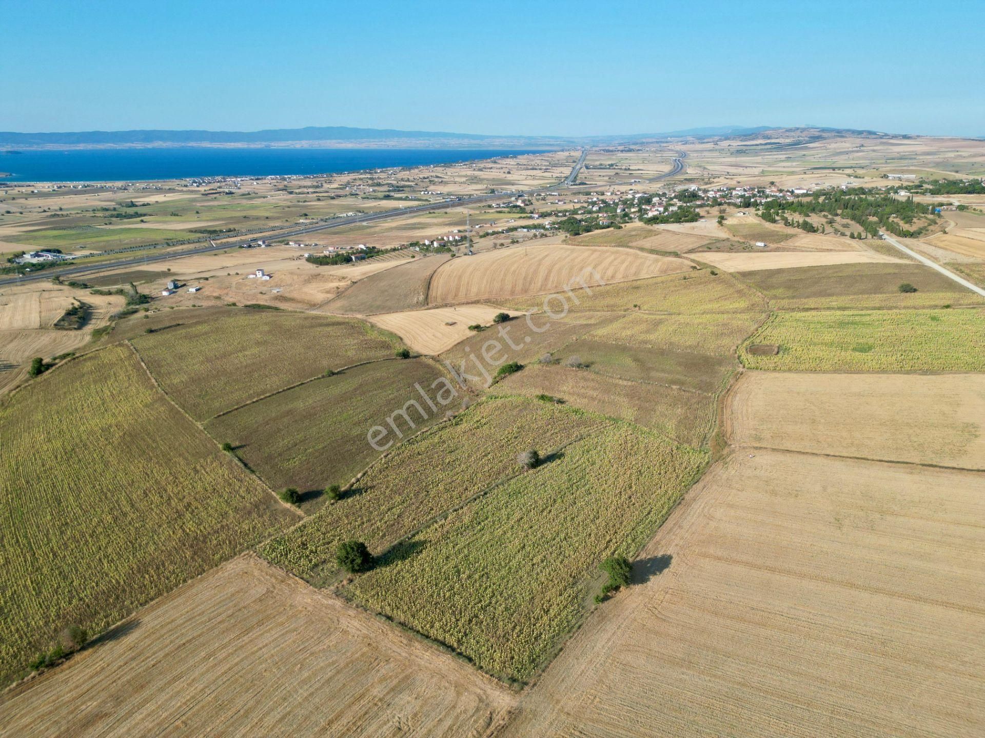Gelibolu Bolayır 9245 M2 Satılık Tarla Uygun Fiyat Ve Yatırımlık - Görsel 6