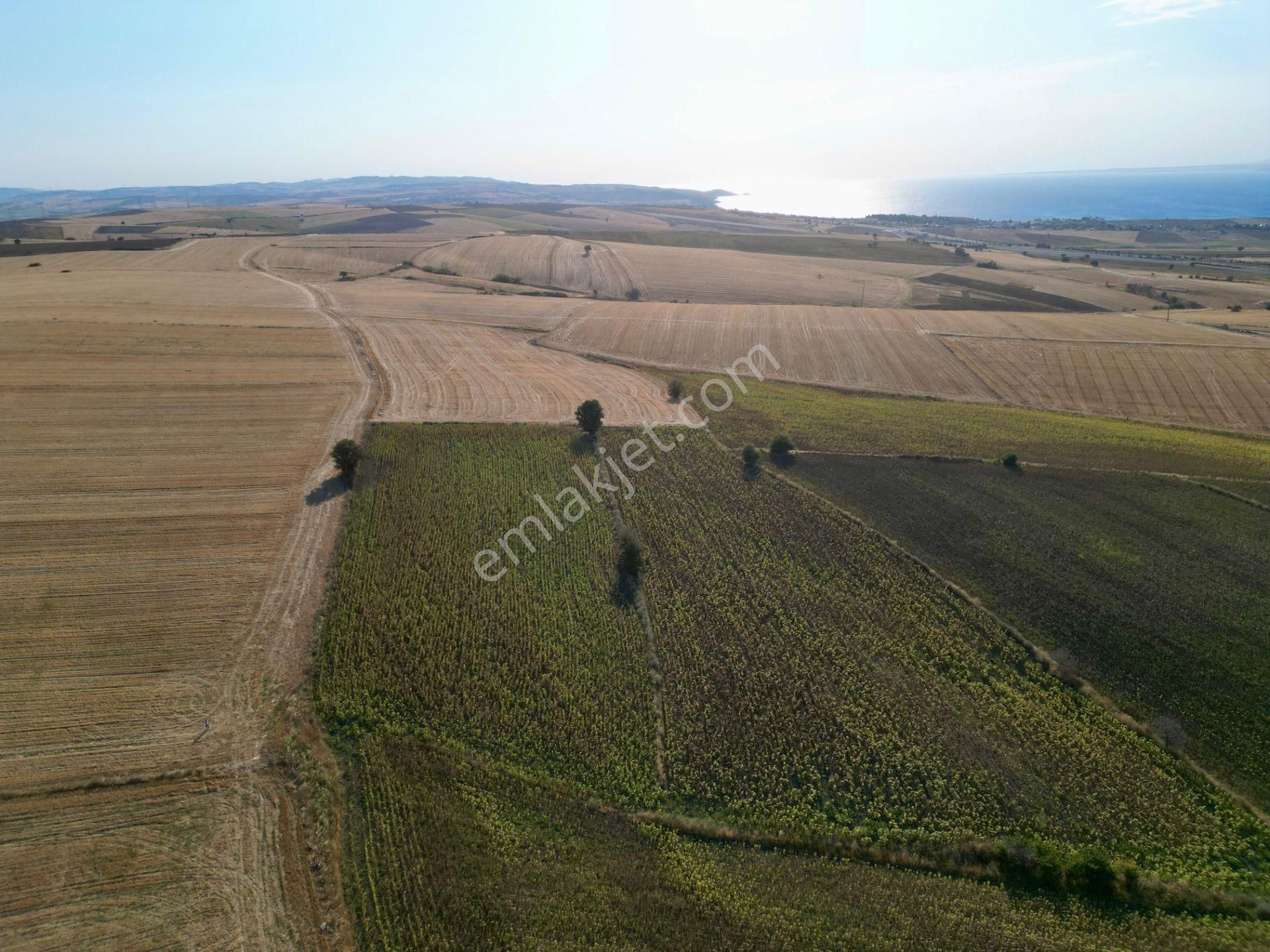 Gelibolu Bolayır 9245 M2 Satılık Tarla Uygun Fiyat Ve Yatırımlık - Görsel 9