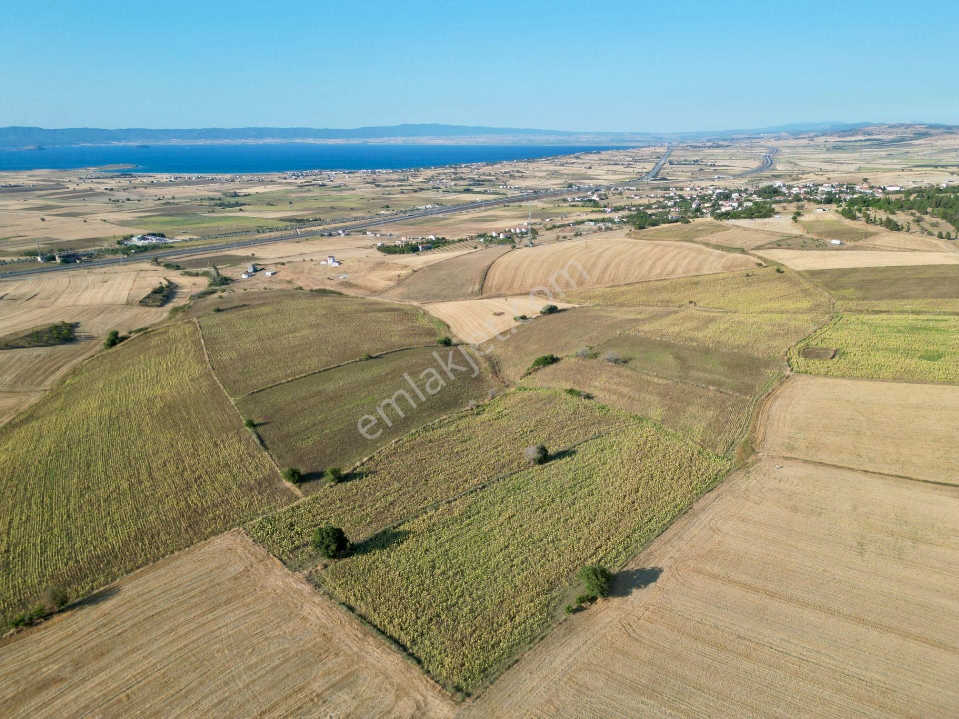 Gelibolu Bolayır 9245 M2 Satılık Tarla Uygun Fiyat Ve Yatırımlık - Görsel 7