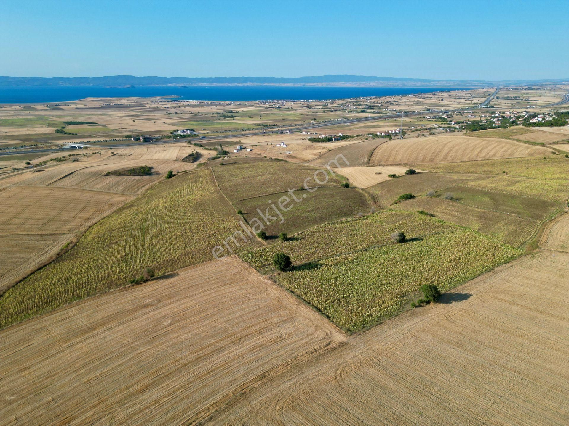 Gelibolu Bolayır 9245 M2 Satılık Tarla Uygun Fiyat Ve Yatırımlık - Görsel 4