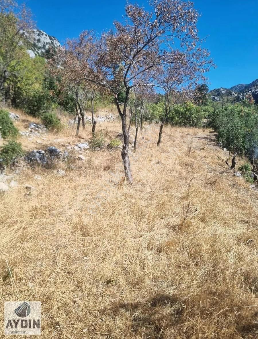 Aydın Satıyordan Antalya Konya Yoluna Yakın Sadıklar Mh Bağ - Görsel 4