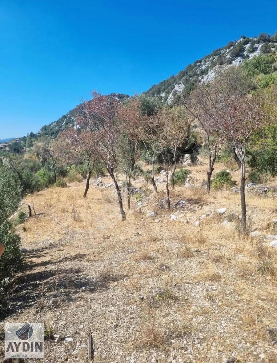 Aydın Satıyordan Antalya Konya Yoluna Yakın Sadıklar Mh Bağ - Görsel 2