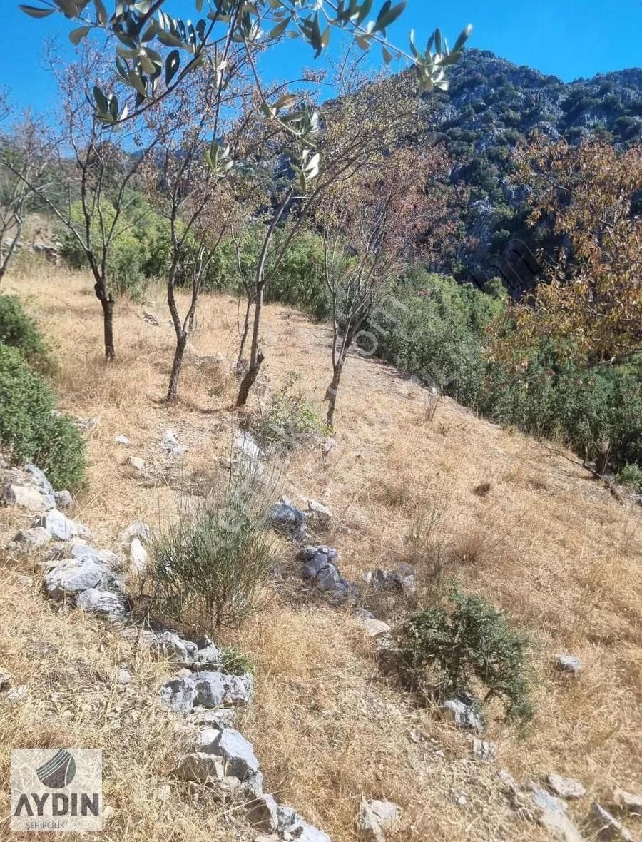 Aydın Satıyordan Antalya Konya Yoluna Yakın Sadıklar Mh Bağ - Görsel 9