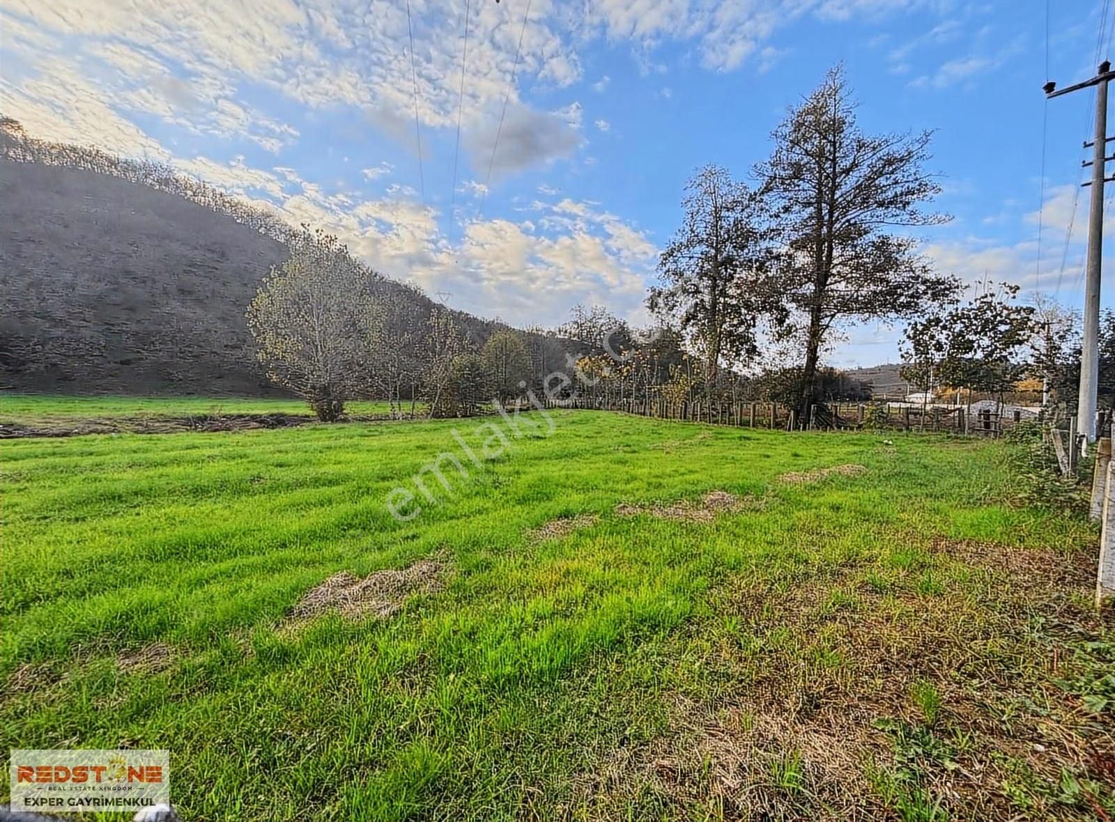 Kuzuluk Mahallesi Elektrik-su-yolu Mevcut 4100 M2 Fındıklık - Görsel 13