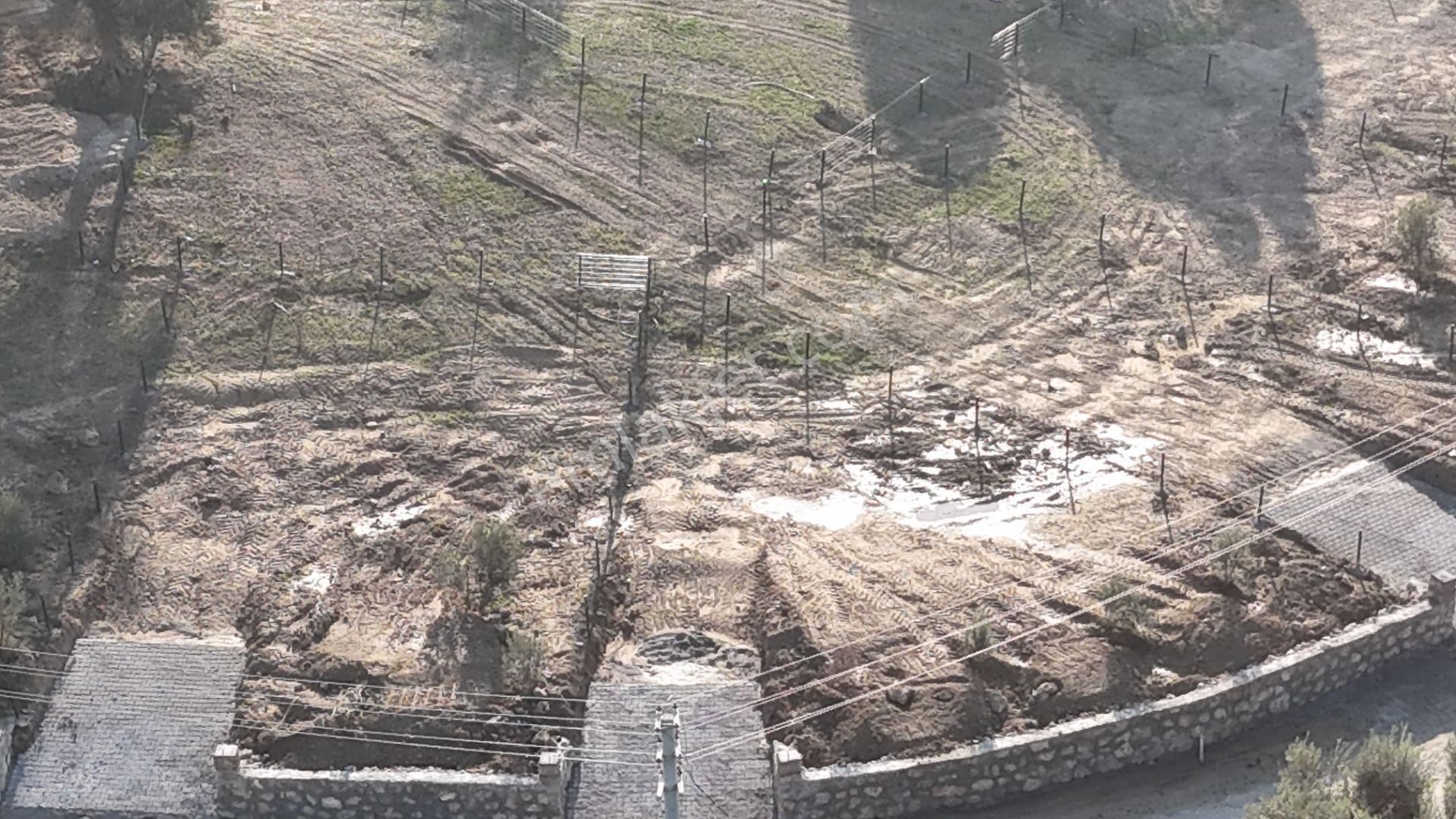 Sancaklıda İmar Yakını Köy İçi, 255 M2 Kupon Arsalar Elektrik Su - Görsel 21