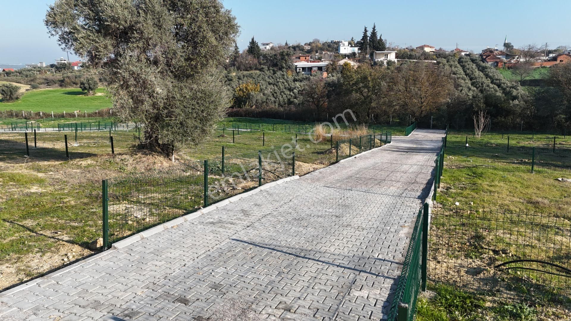 Sancaklıda İmar Yakını Köy İçi, 255 M2 Kupon Arsalar Elektrik Su - Görsel 32