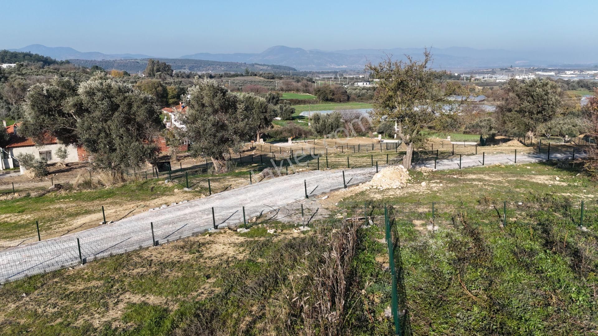 Sancaklıda İmar Yakını Köy İçi, 255 M2 Kupon Arsalar Elektrik Su - Görsel 12