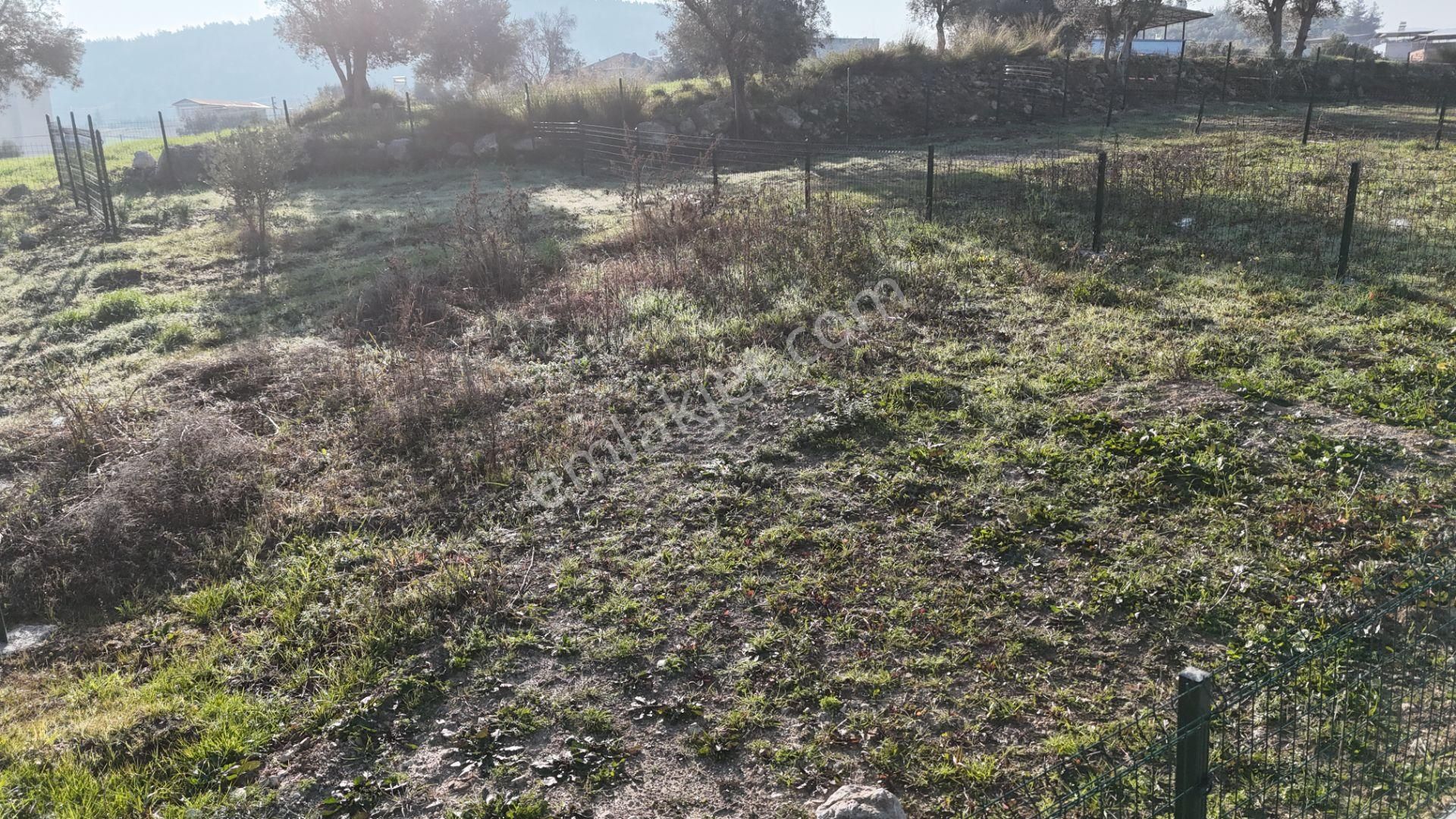 Sancaklıda İmar Yakını Köy İçi, 255 M2 Kupon Arsalar Elektrik Su - Görsel 30