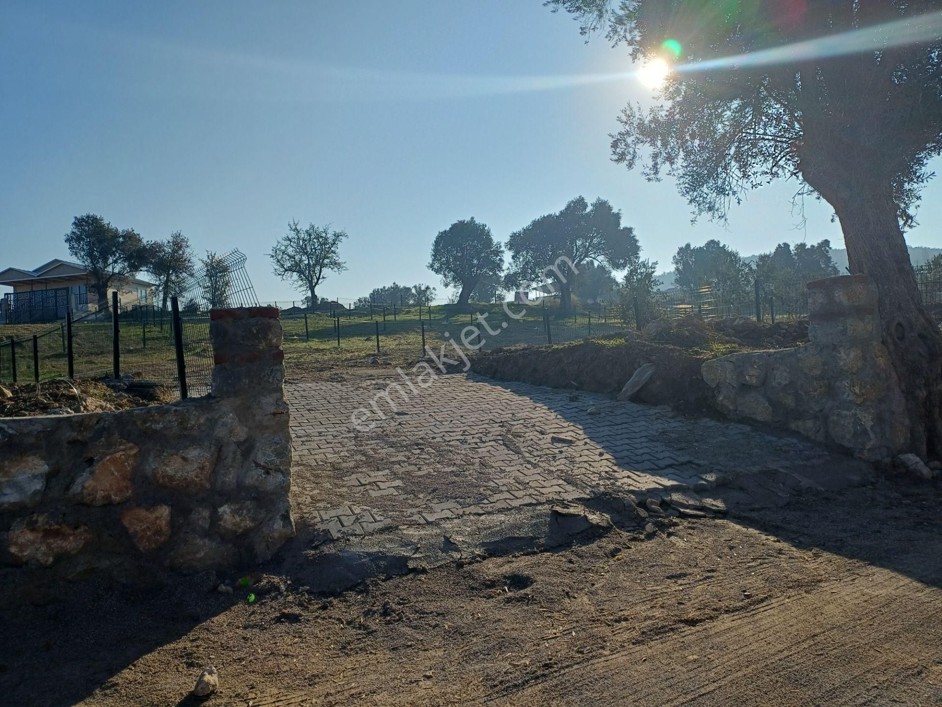 Sancaklıda İmar Yakını Köy İçi, 255 M2 Kupon Arsalar Elektrik Su - Görsel 4