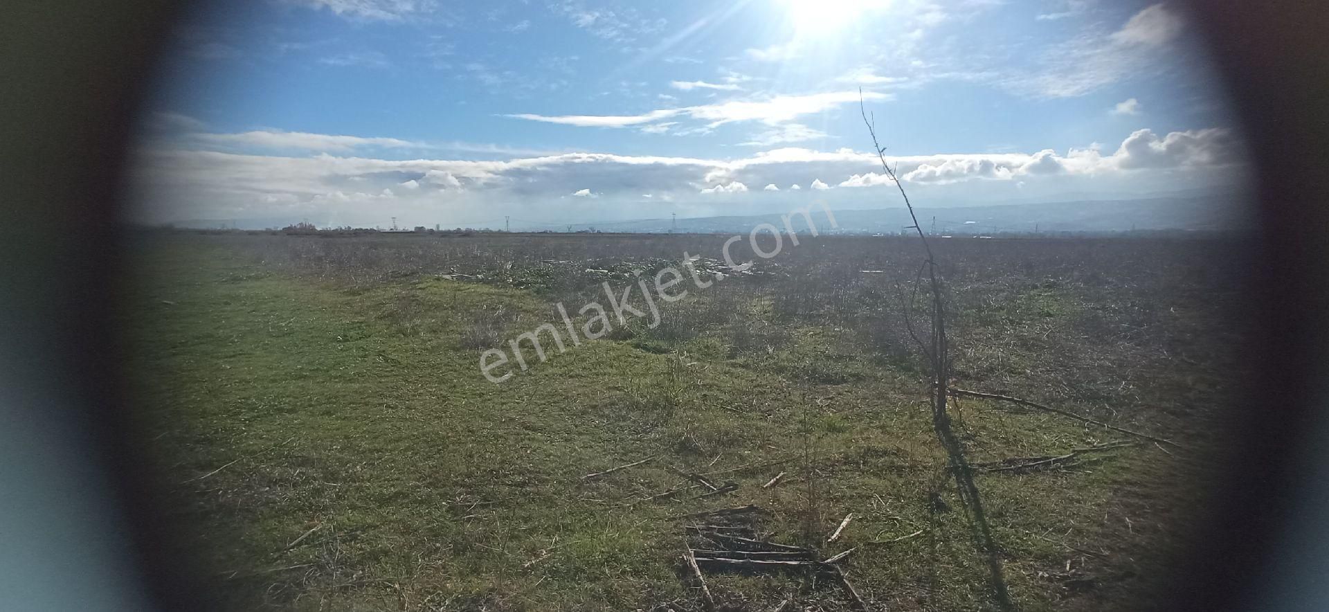 Tokat Erbaa Aşsağıcandir Da 4.633 M2 Tek Tapu Arazi - Görsel 12