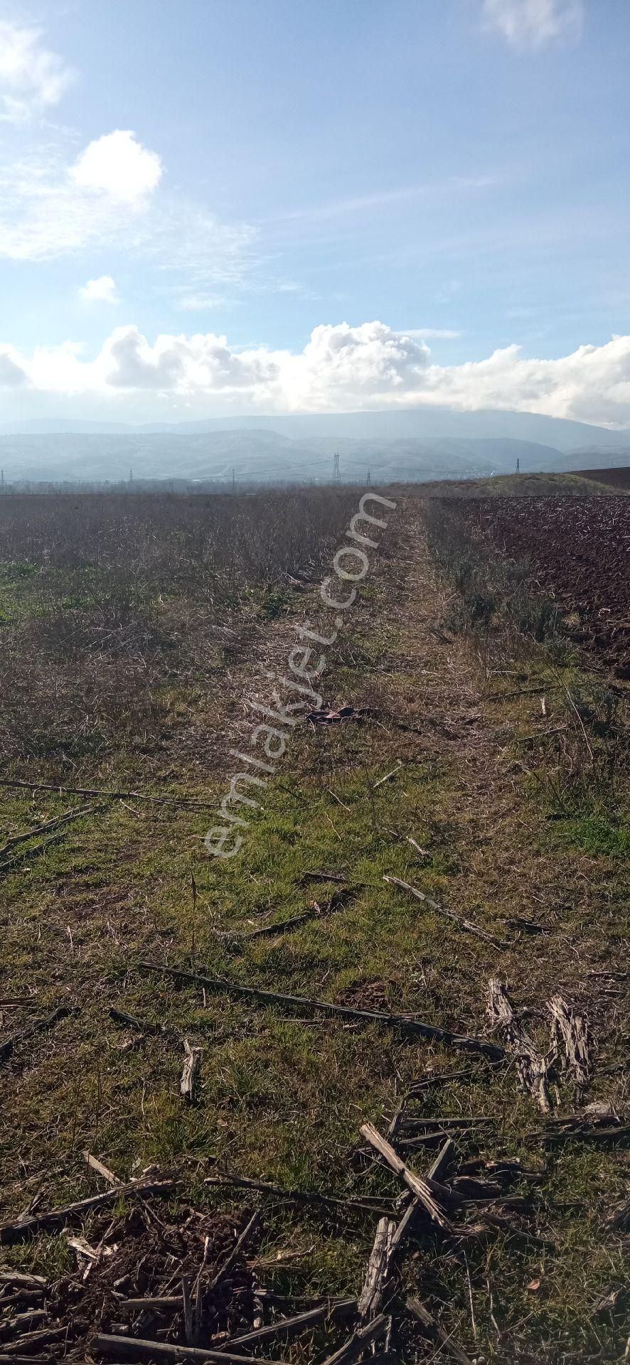 Tokat Erbaa Aşsağıcandir Da 4.633 M2 Tek Tapu Arazi - Görsel 11
