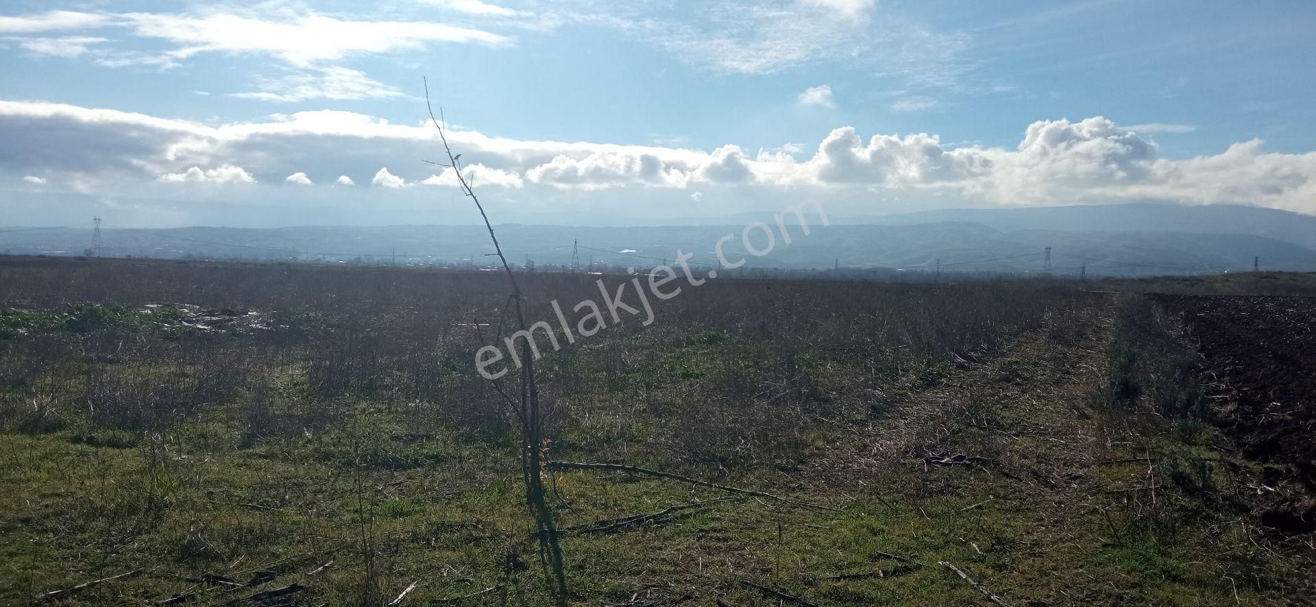 Tokat Erbaa Aşsağıcandir Da 4.633 M2 Tek Tapu Arazi - Görsel 9