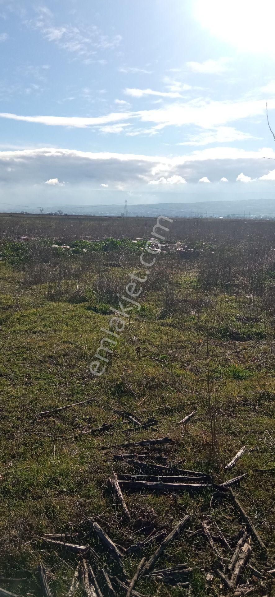 Tokat Erbaa Aşsağıcandir Da 4.633 M2 Tek Tapu Arazi - Görsel 10