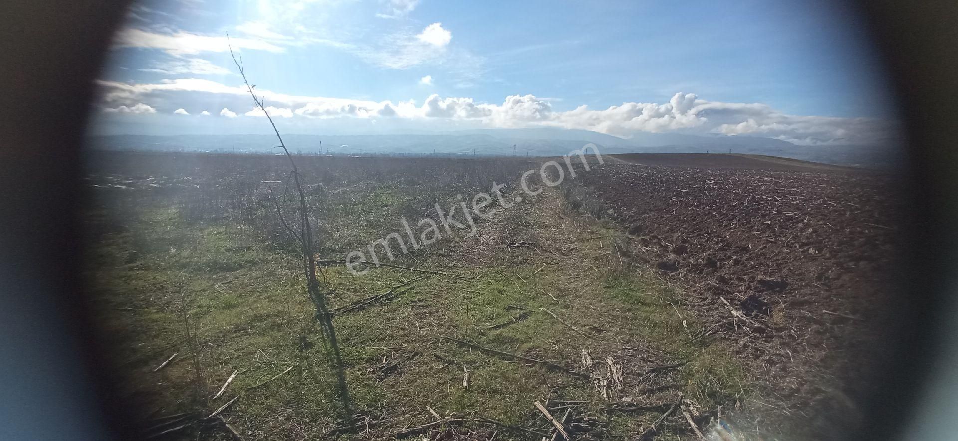 Tokat Erbaa Aşsağıcandir Da 4.633 M2 Tek Tapu Arazi - Görsel 13