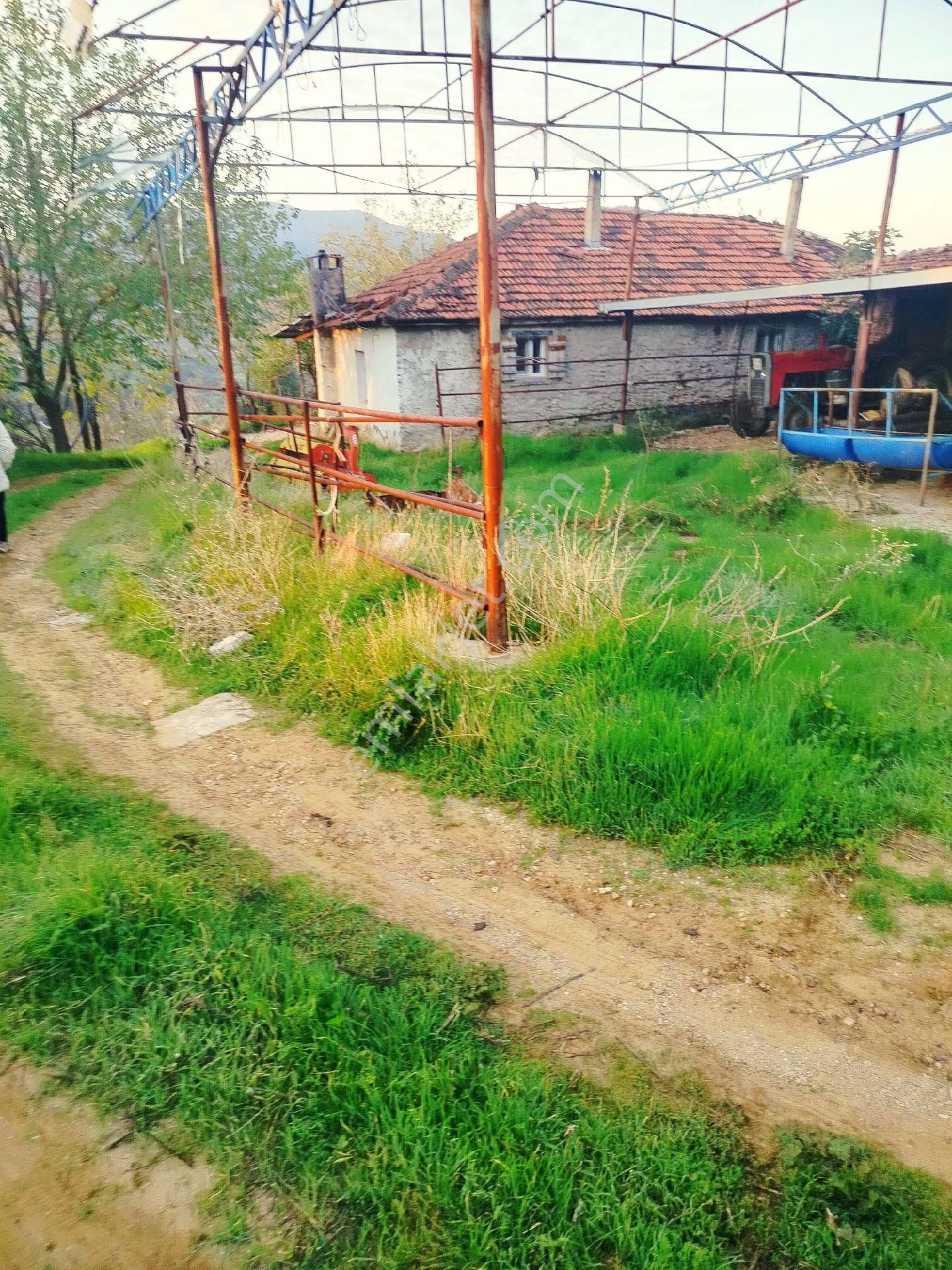 İzmir Kiraz Gedik'te 2 Müstakil Ev Dam 16.550 M2 Meyve Ağaçlı Bahçe. Açıklamayı Okuyunuz - Görsel 8