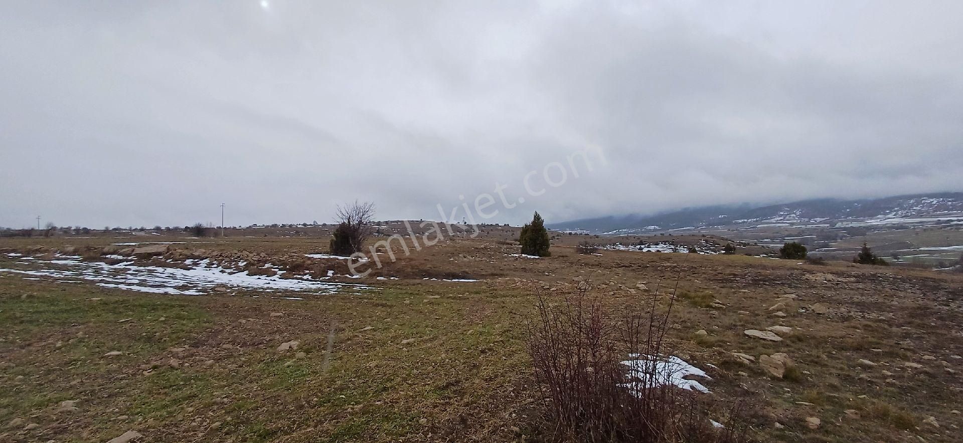 Bilecik Bozüyük 8035m2 Satılık Arsa - Görsel 10