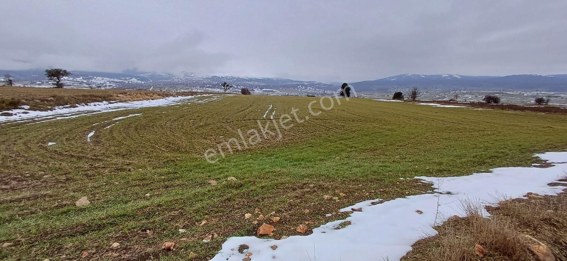 Bilecik Bozüyük 8035m2 Satılık Arsa - Görsel 8