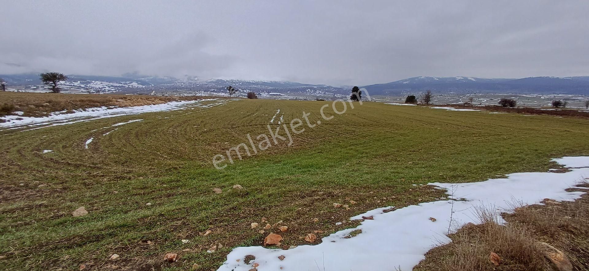 Bilecik Bozüyük 8035m2 Satılık Arsa - Görsel 7