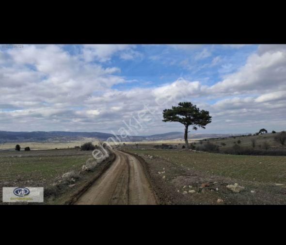 Bilecik Bozüyük 8035m2 Satılık Arsa - Görsel 15