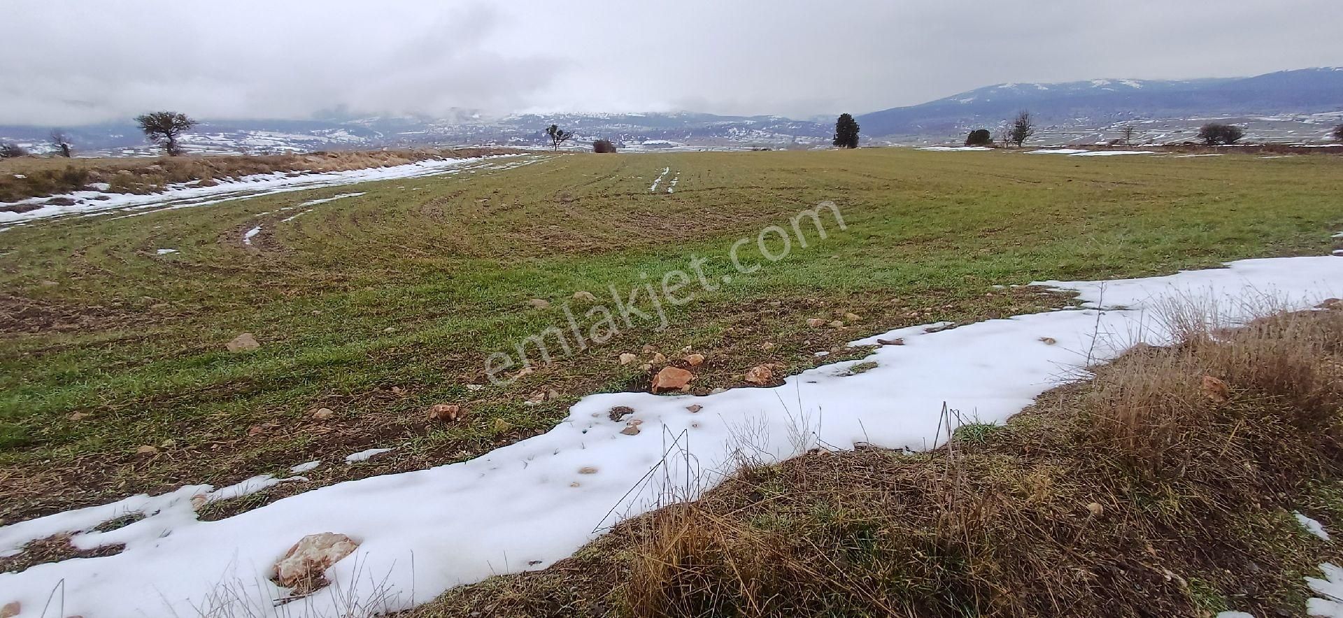 Bilecik Bozüyük 8035m2 Satılık Arsa - Görsel 13