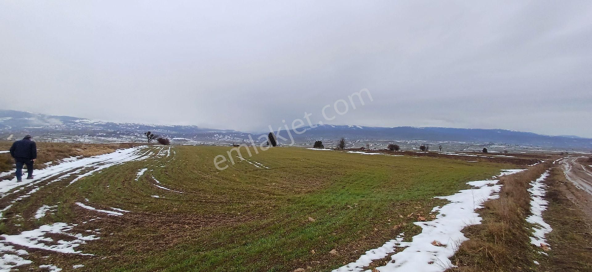 Bilecik Bozüyük 8035m2 Satılık Arsa - Görsel 3