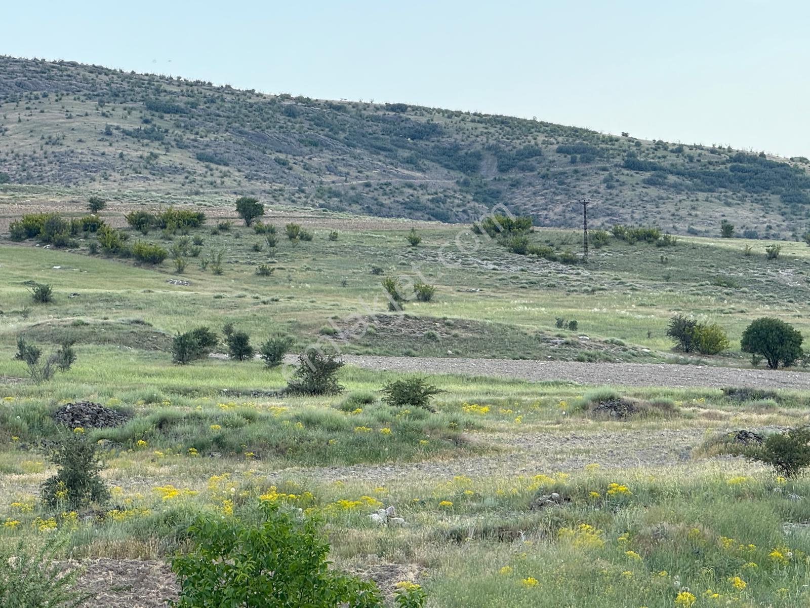 Ankara Güdül Taşören'de Araç Takaslı Müstakil Tarla