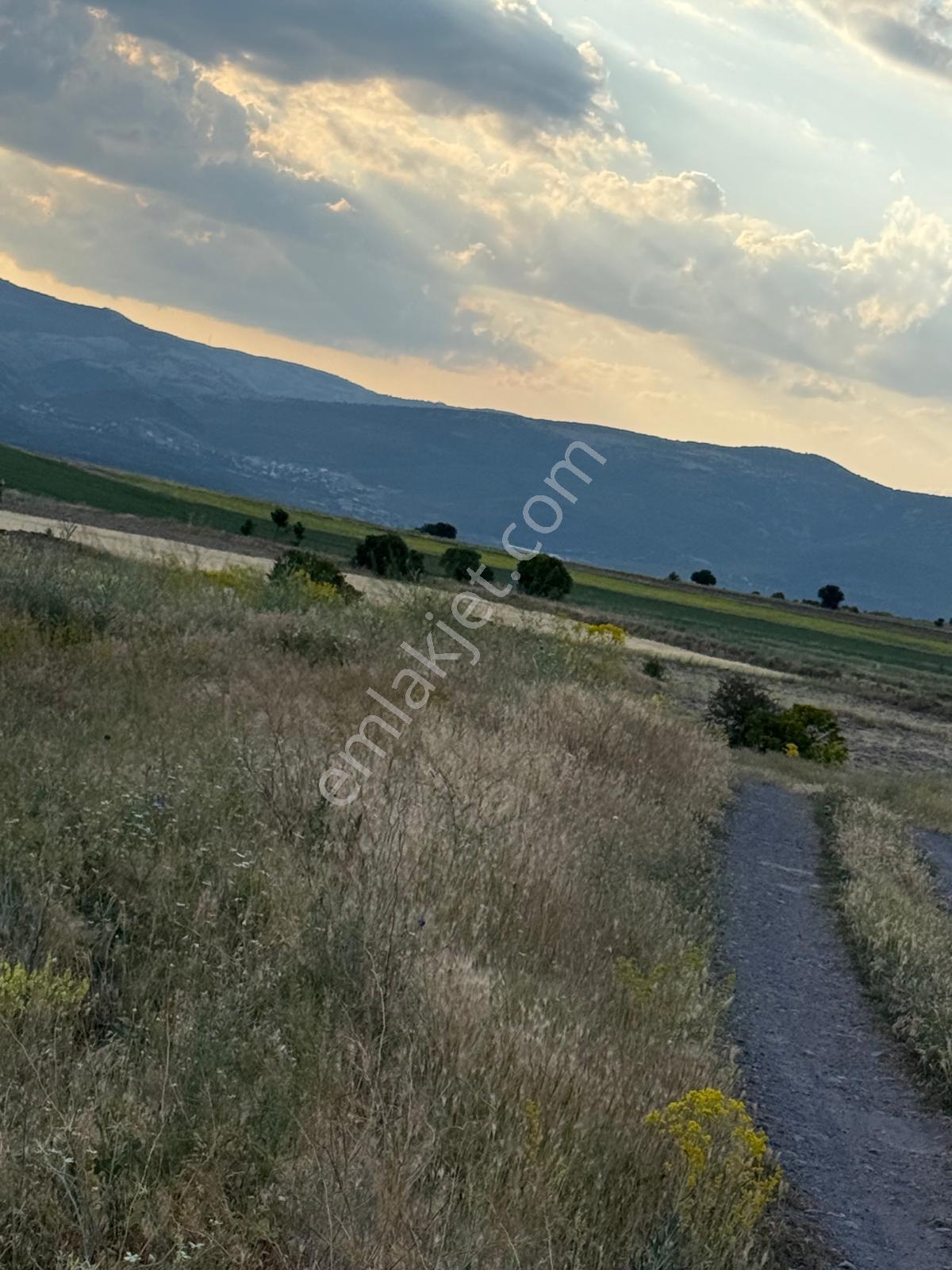 Ankara Güdül Taşören'de Köye 700m Araç Takaslı Müstakil Tarla - Görsel 3