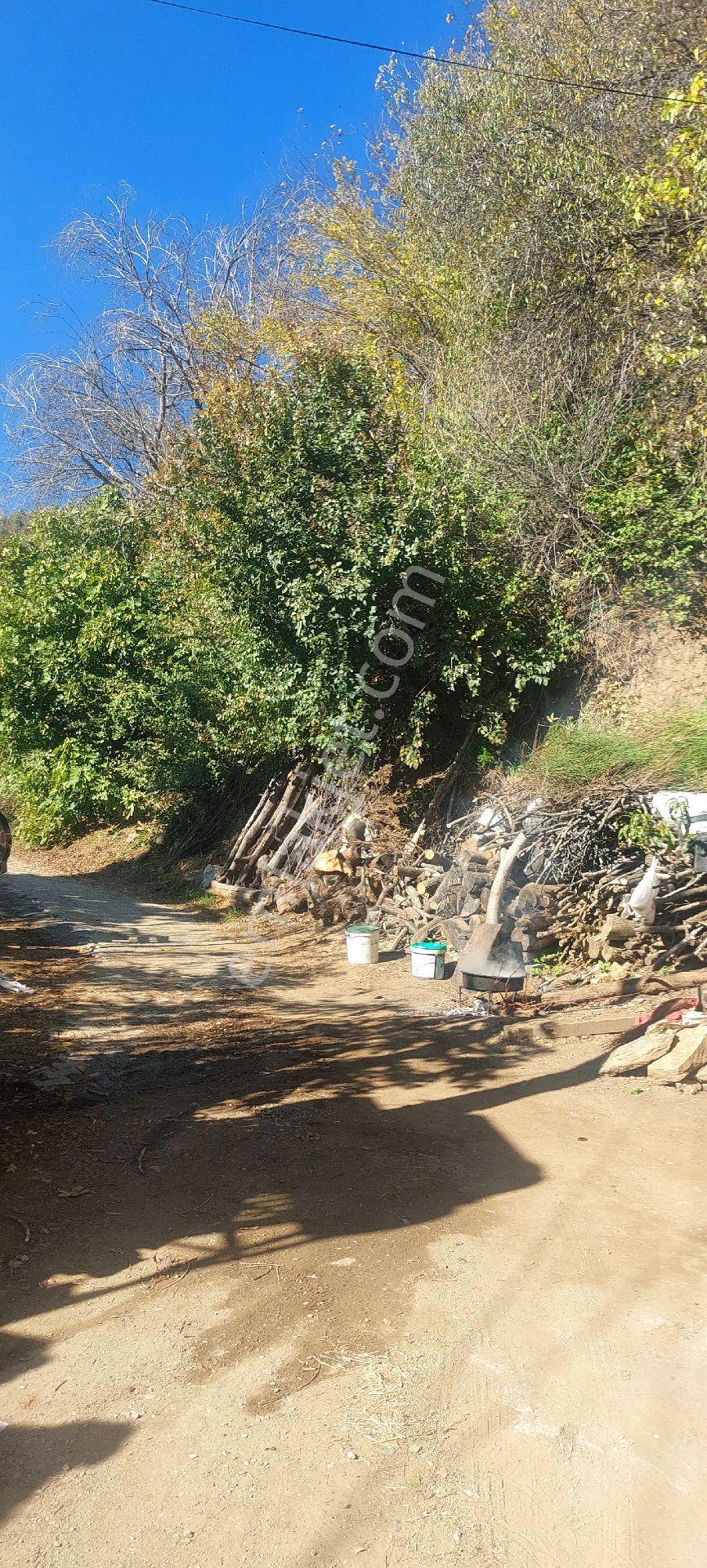 Aydın Sultanhisar Demirhan Mahallesi Satılık 429 M2 İmarlı Köy İçi Manzaralı Arsa - Görsel 22