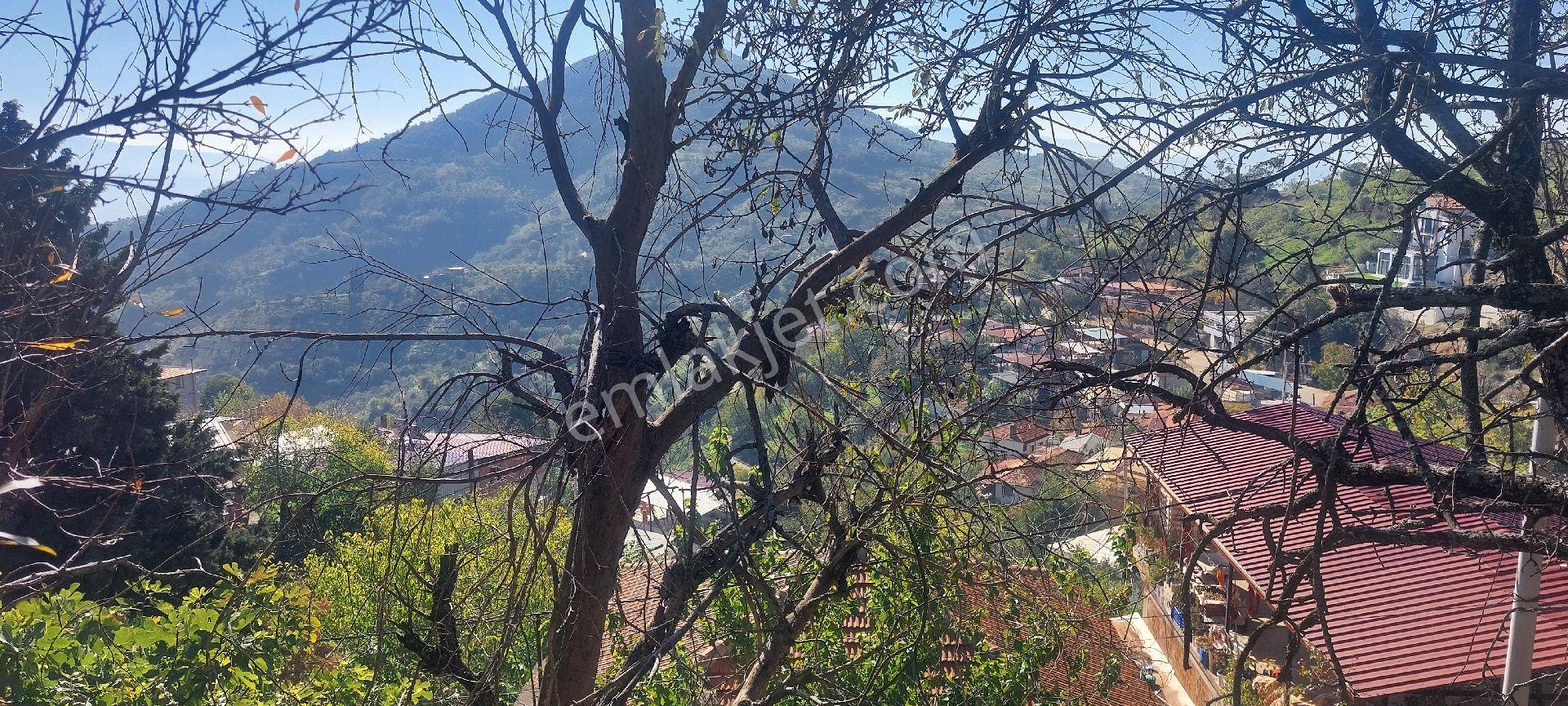 Aydın Sultanhisar Demirhan Mahallesi Satılık 429 M2 İmarlı Köy İçi Manzaralı Arsa - Görsel 10
