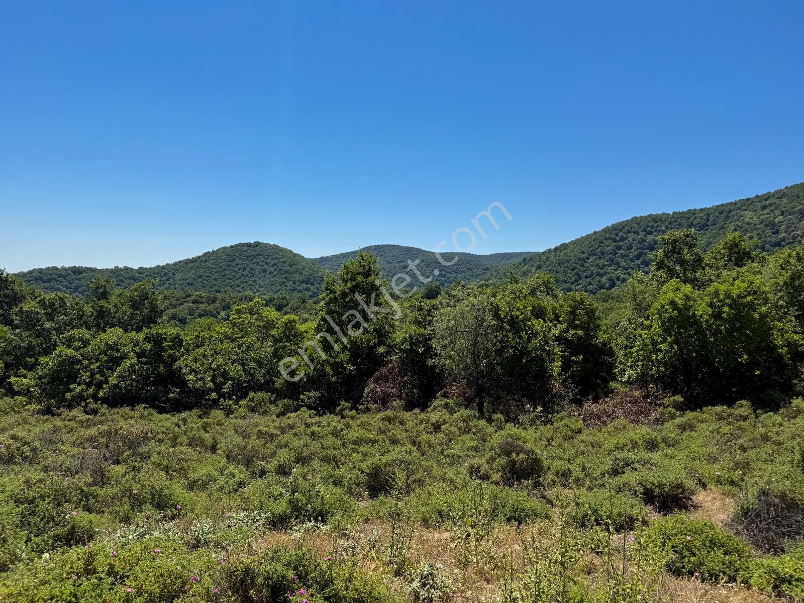 Lapseki Güreci'de 9.057m² Yolu Mevcut Yatırımlık Arazi - Görsel 12