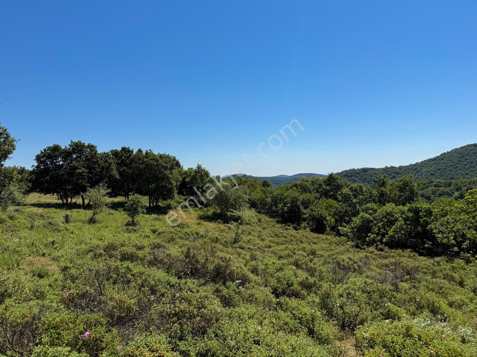 Lapseki Güreci'de 9.057m² Yolu Mevcut Yatırımlık Arazi - Görsel 24