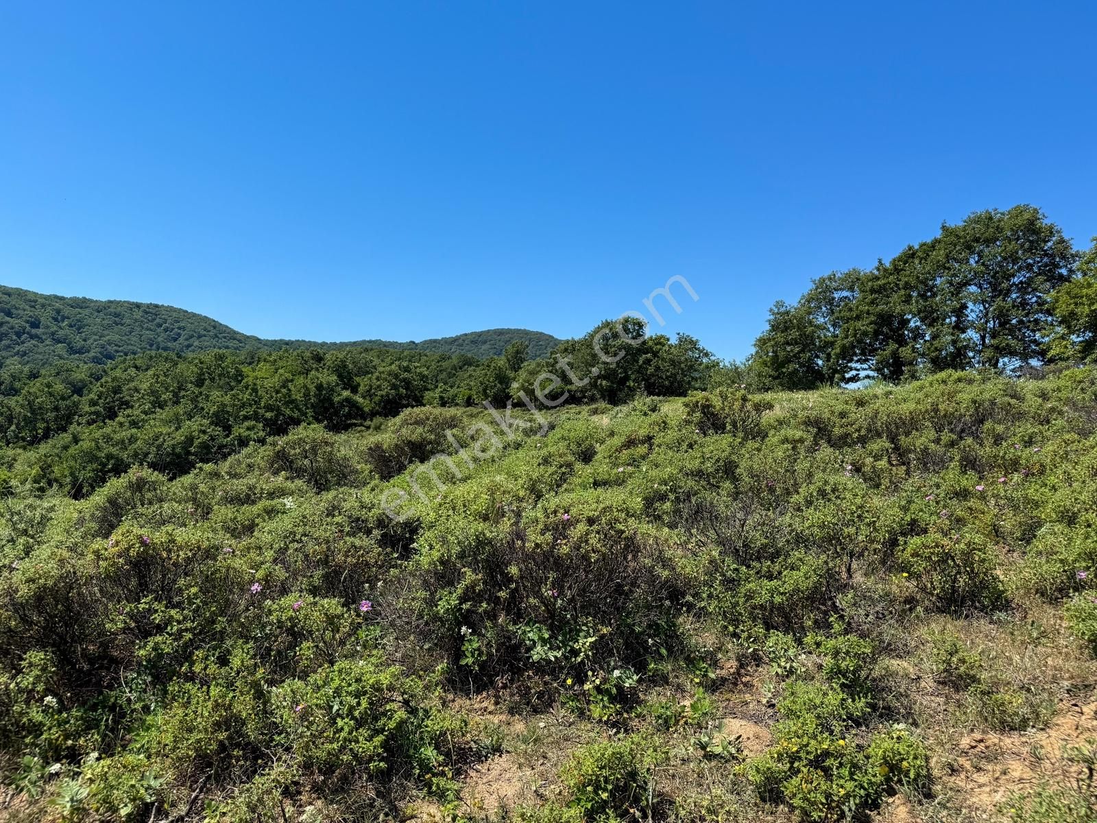 Lapseki Güreci'de 9.057m² Yolu Mevcut Yatırımlık Arazi - Görsel 7