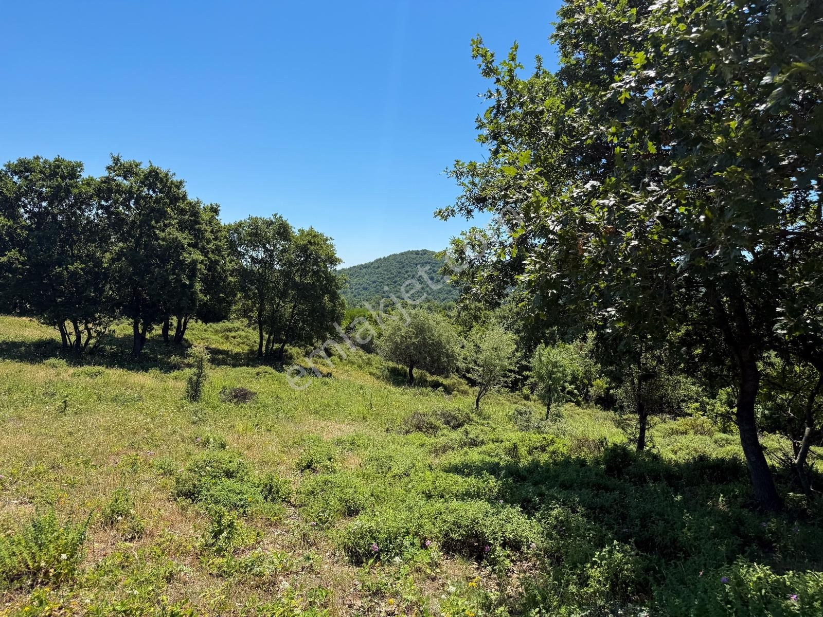 Lapseki Güreci'de 9.057m² Yolu Mevcut Yatırımlık Arazi - Görsel 18