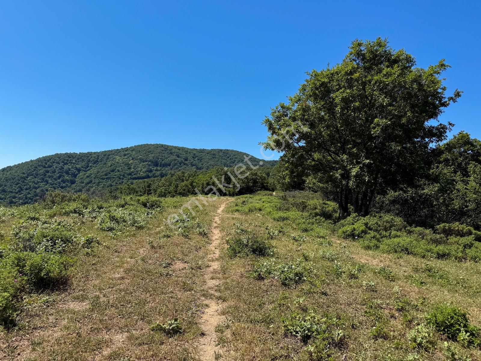 Lapseki Güreci'de 9.057m² Yolu Mevcut Yatırımlık Arazi - Görsel 31
